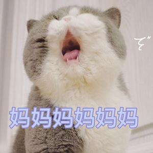 萱草花（片段）