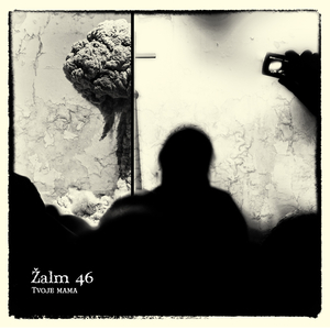 Žalm 46