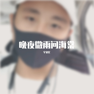 晚夜微雨问海棠（男独）