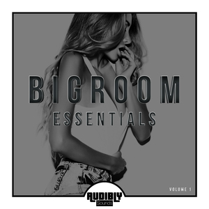 Armada (Max Tiger Dirty Remix)