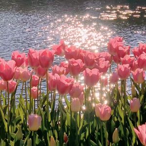 【Free】"午后"Lil Tjay Type x Fivio Drill Type beat