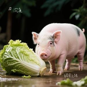 白菜爱上猪 (Cover 杨小壮)