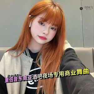 DJ国飞-重低音东南亚酒吧夜场专用商业舞曲（DJ国飞 remix）