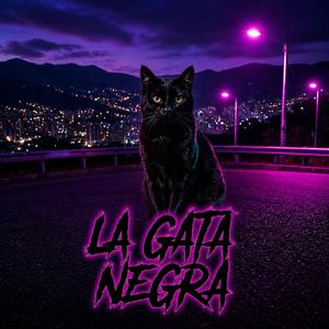 La gata negra