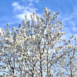 For You, From Us (feat. Rachel Reed, Karen Orrick & Michael Verla)