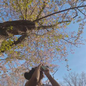 daydreams
