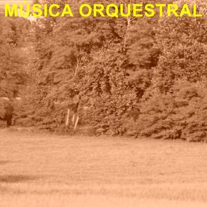 Música Orquestral