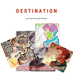 I B I Z A (Sexbot) (RICCICOMOTO remix)