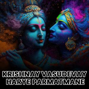 Krishnay Vasudevay Harye Parmatmane