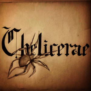 Chelicerae