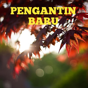 Pengantin Baru
