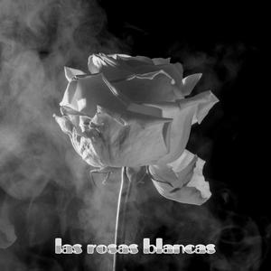 las rosas blancas