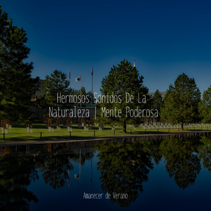 Recuerdos Luminosos Desvanecientes