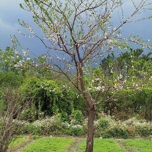 《接受》词曲唱赵鑫