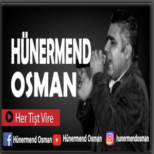 Her Tişt Vire