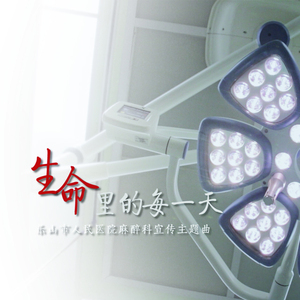 《生命里的每一天》mp3