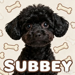 黑煤球·大尾巴摇摇