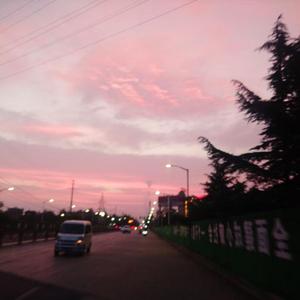 普通（prod by.Lisure＆Morrow）