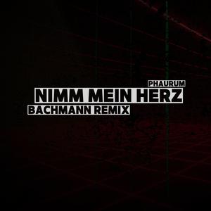 Nimm mein Herz (feat. Phaurum) (Bachmann Remix)