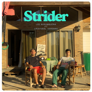 Strider