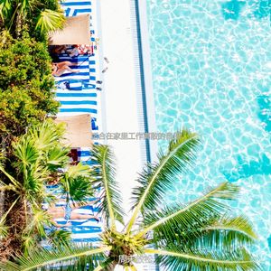 正在学习有文化的轻音乐