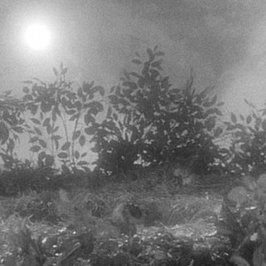 Qoshtasu (Original Mix)