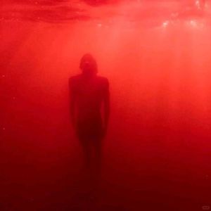 泪是瞳孔无色的血液