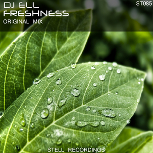 FreshnesS (Original Mix)