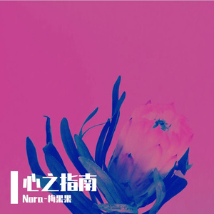 心之指南