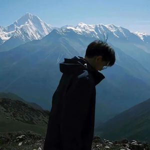 精神卫藉（精卫）