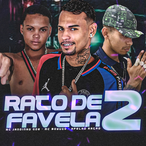 Rato de Favela 2