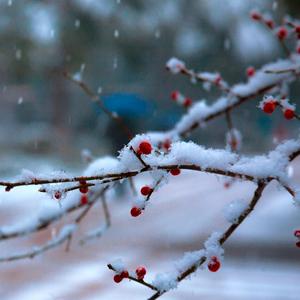 一辈子爱你好不好