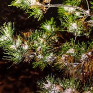 关于盛夏和你和我剩下的牵挂