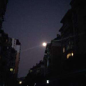 Froggy-房间下雨了，你不在我的身边（L.KING remix）