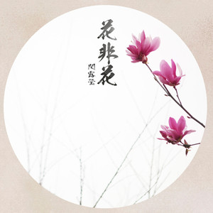 董小姐（翻自 宋冬野）