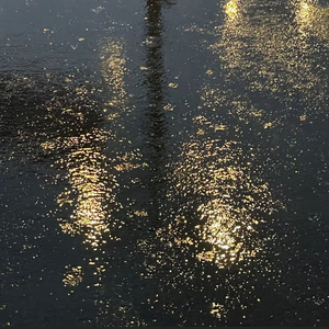 "嘲讽骂时代少年团者"