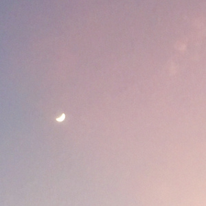 水仙已乘鲤鱼去