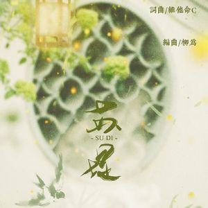 苏堤（Cover ：蛋卷&维他命C）