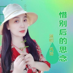 惜别后的思念