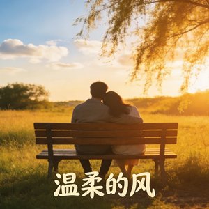 温柔的风