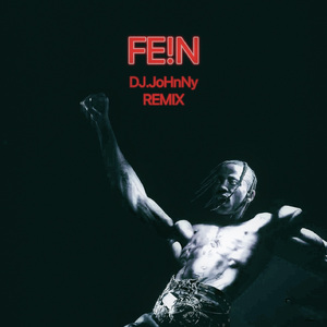 FE!N (REMIX)