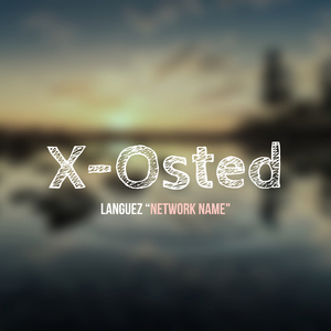 Network name (Lady of Victory Mix)