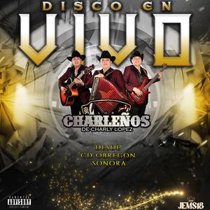 Pajarillo Barranqueño