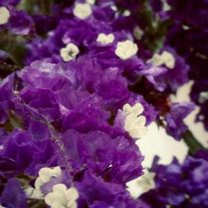 无领导打井大队