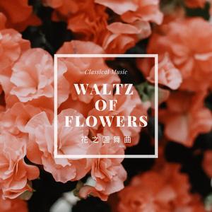 小约翰史特劳斯 南国玫瑰圆舞曲