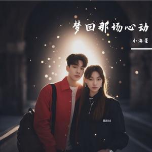 梦回那场心动(完整版)（改编 remix）