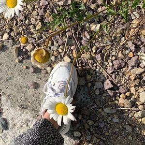 F.Physical-La Banda（9 Diuz / 9ZTQS remix）