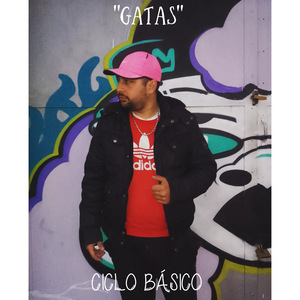 Gatas