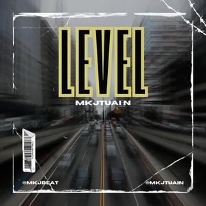 LEVEL