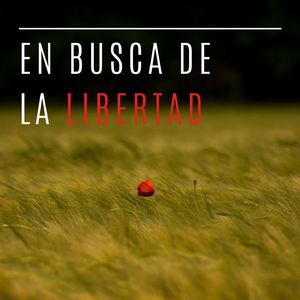 Perfectamente Tranquilo